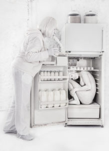 fridge+copy